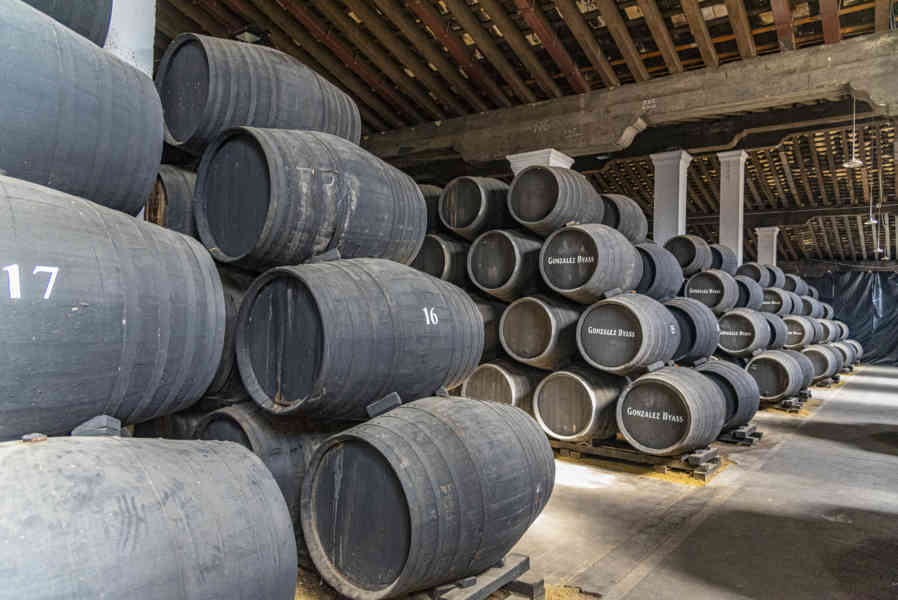 Cádiz - Jerez de la Frontera 55 - bodegas Gonzalez Byass.jpg